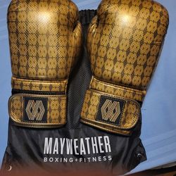 Floyd Mayweather Official Gold Gloves 