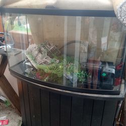 Fish Tank and Stand