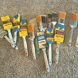 Paint Brushes 