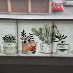 Potted succulents Canvas Wall  Art