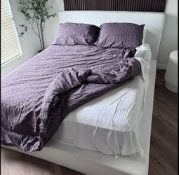Queen Soft Frame Designs Bed Frame & Box Spring