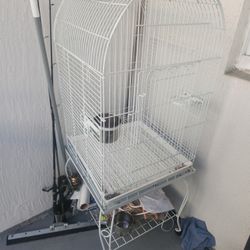 Bird Cage