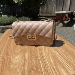 Pink, Gold Chain Purse.
