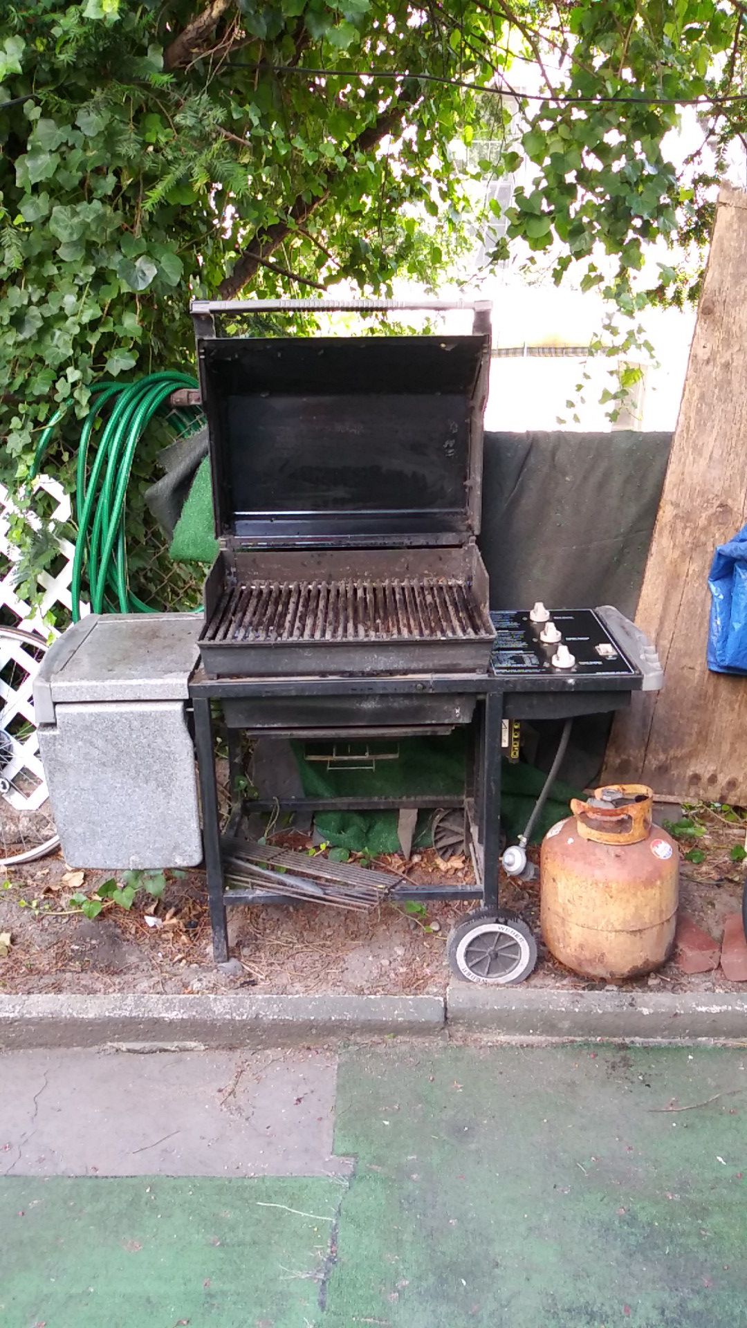 Weber outdoor grill