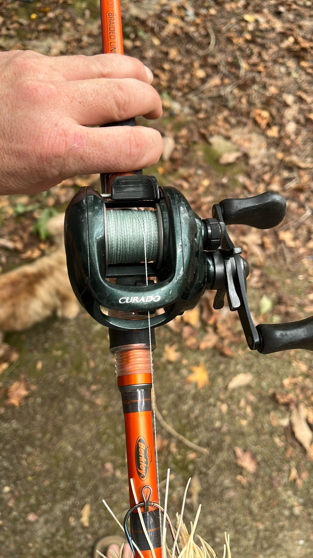 Rods And Reels For Sale
