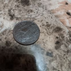 Black Quarter Error