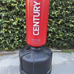 Century Wavemaster Punching Bag