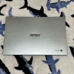 Asus Chromebook Clamshell Laptop