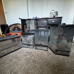 Exo Terra Tanks + Large Assorted Tanks