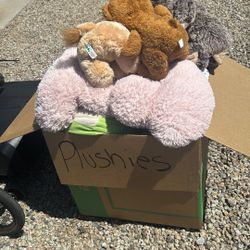 Box Of Plushies All Sizes 