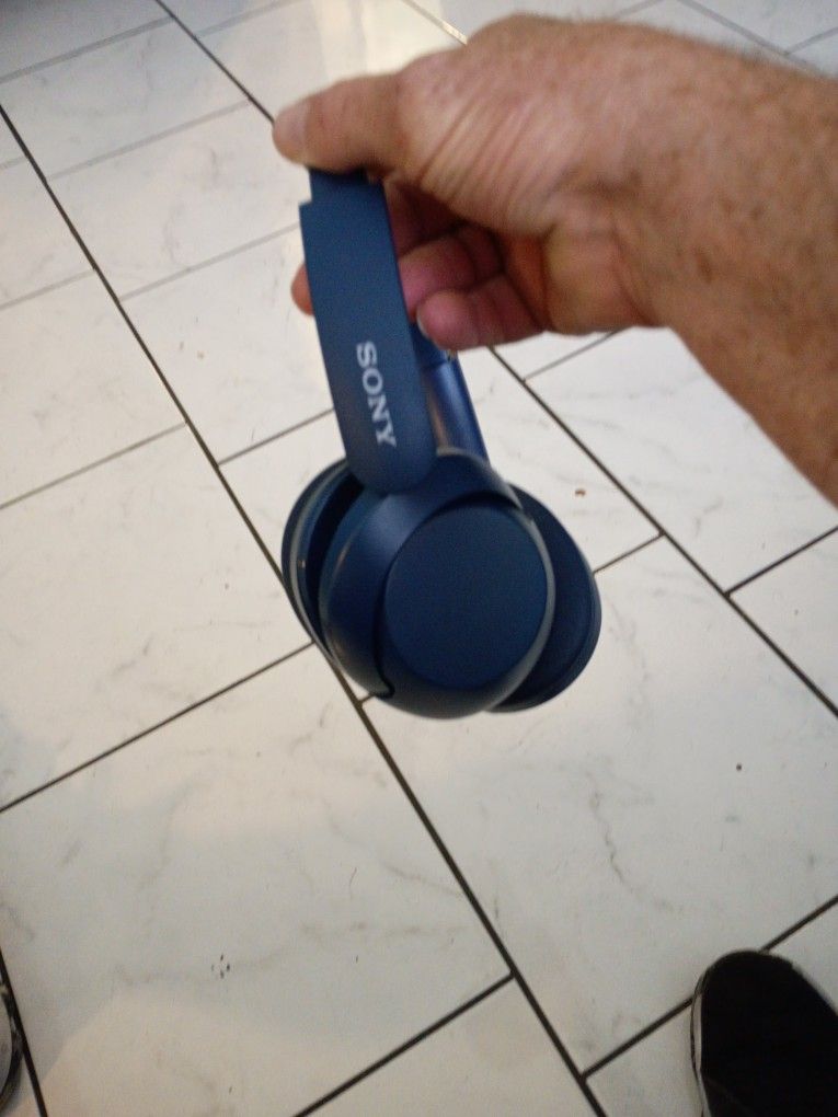 Sony Noise Canceling Headphones