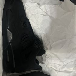 Bran New Black Cats 11.5M