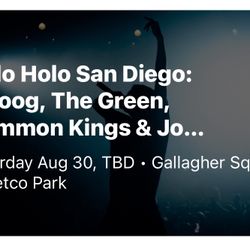 Holo holo 2 Tickets 2 Day Pass 