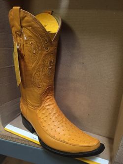 Bota avestruz