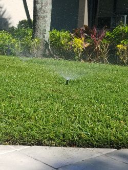 sprinkler sistem