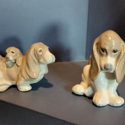 Dalia Dogs