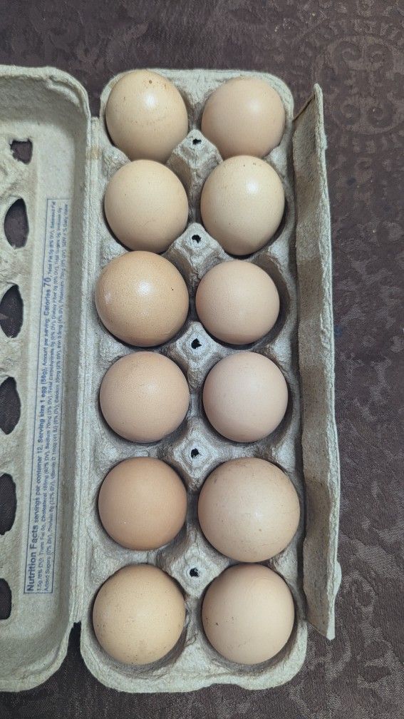 Eggs