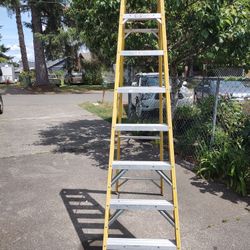 8 Foot Fiberglass Leader 