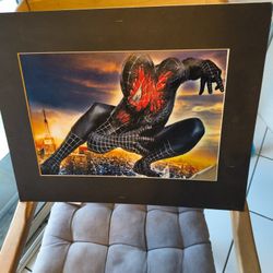 Colorful Spiderman Picture 20x16 Nice  20.00