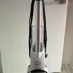 Carpet Cleaner 