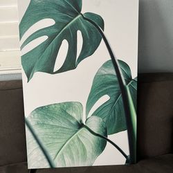 Cuadros De Decoración Nuevos New
