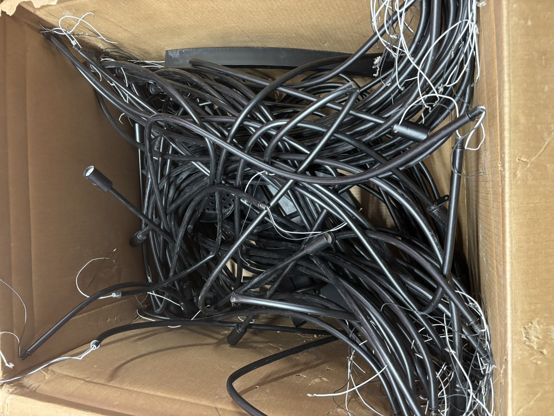 Outdoor Random String Lights!