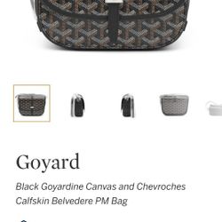 Goyard Paris Bag 