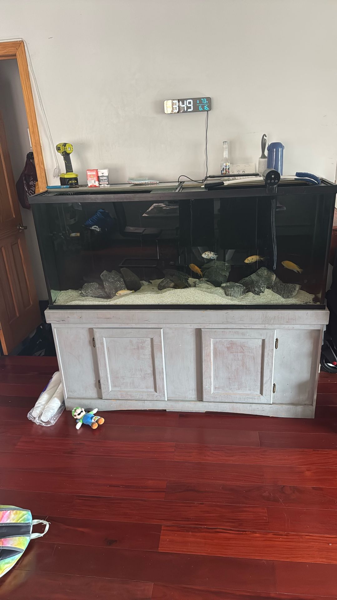 120 Gallon Fish Tank