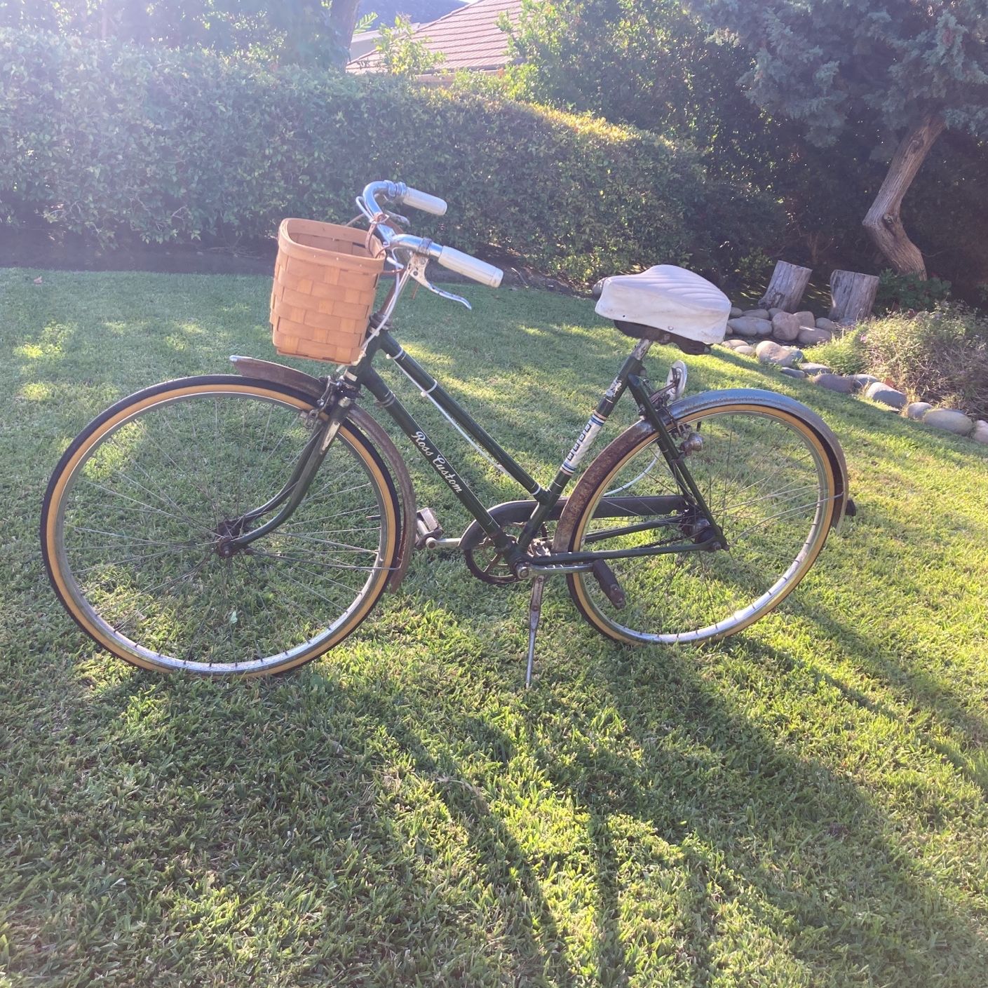 Vintage Bike