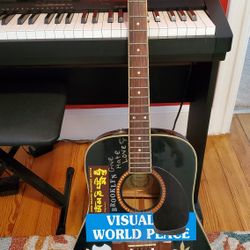 Washburn D100MB Acoustic 