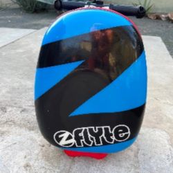Z flyte Scooter Luggage 