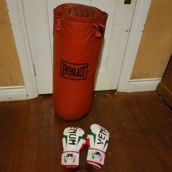 Everlast 80 Lbs Punching Boxing Bag & Venom Elite 8oz Boxing Gloves