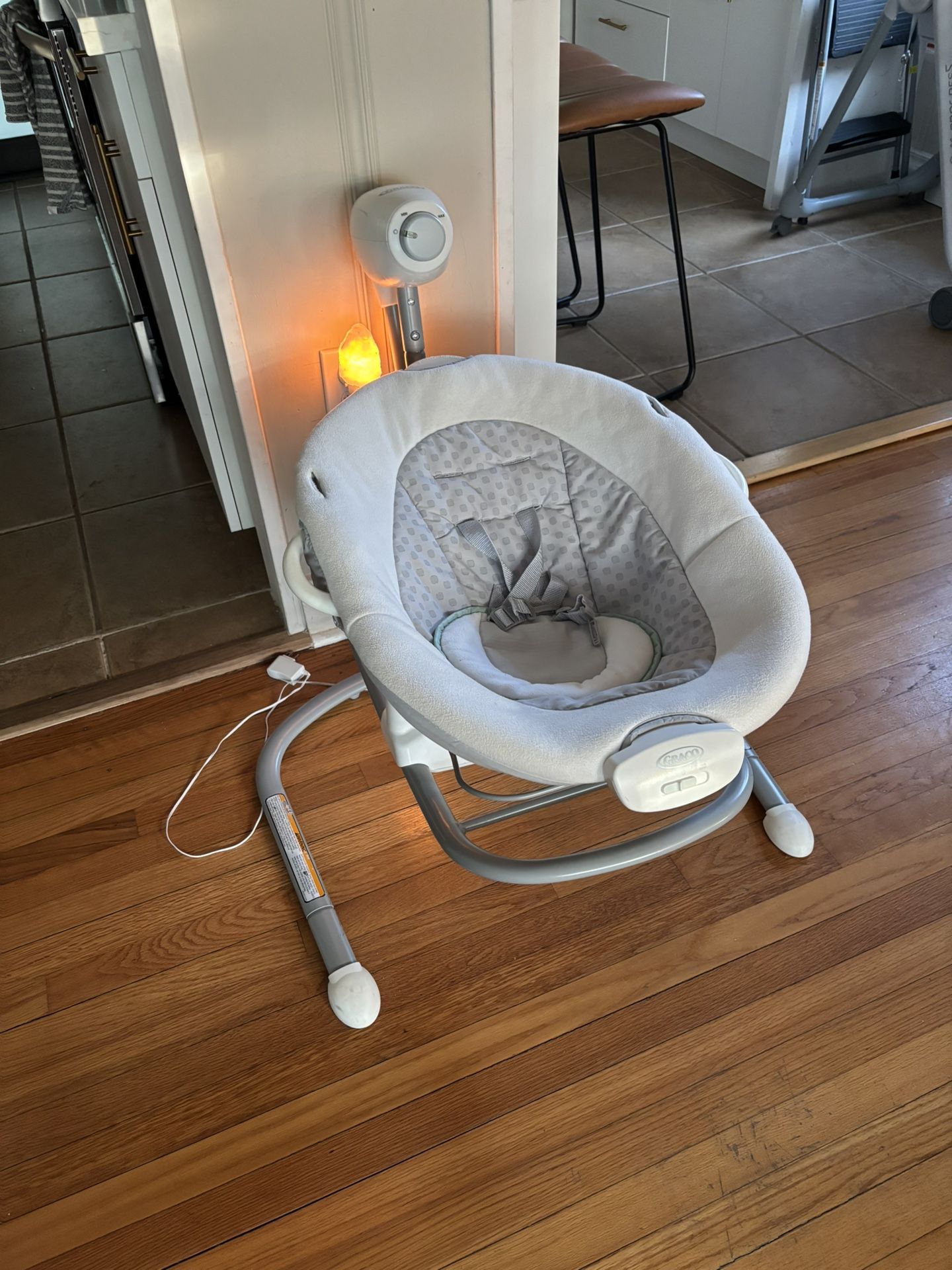 Graco Infant Swing