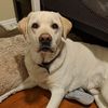 Fiona
