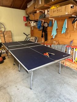 Table Tennis Ping Pong table