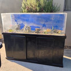 100 Gallon Acrylic Aquarium With Stand 