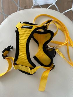 Rabbitgoo Leash and Harness (yellow) - Like New