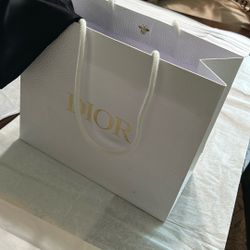 Small Dior Bag