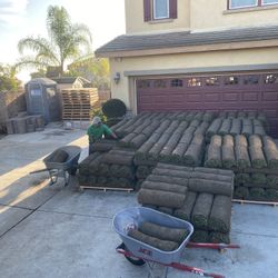 Sod-grass Available 