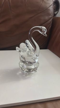Sorelle Crystal Swan 