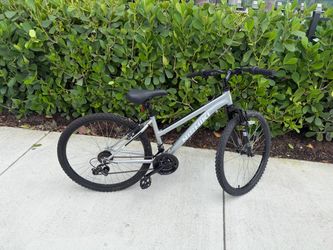 Nishiki Mountain Bike Silver