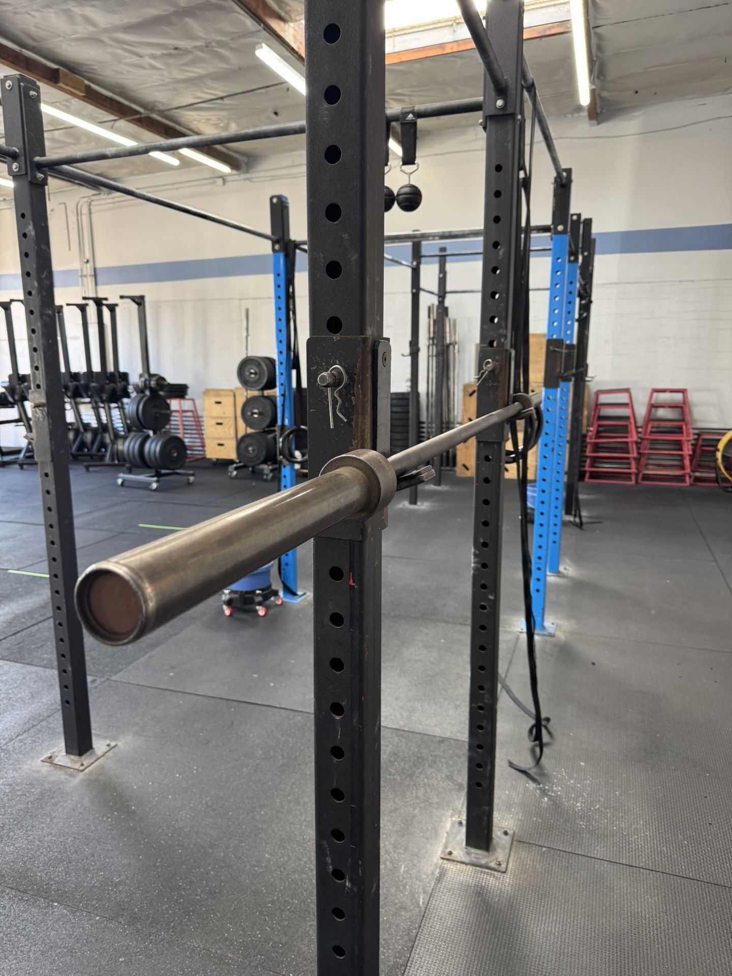 20kg Barbell