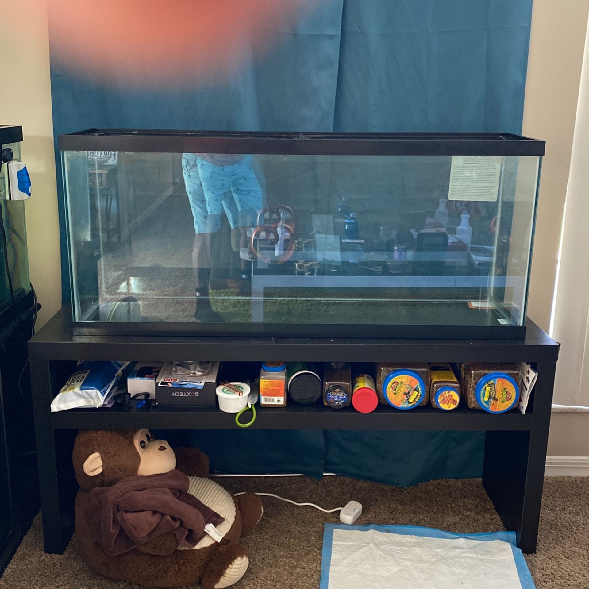 55 Gallon Aquarium Tank