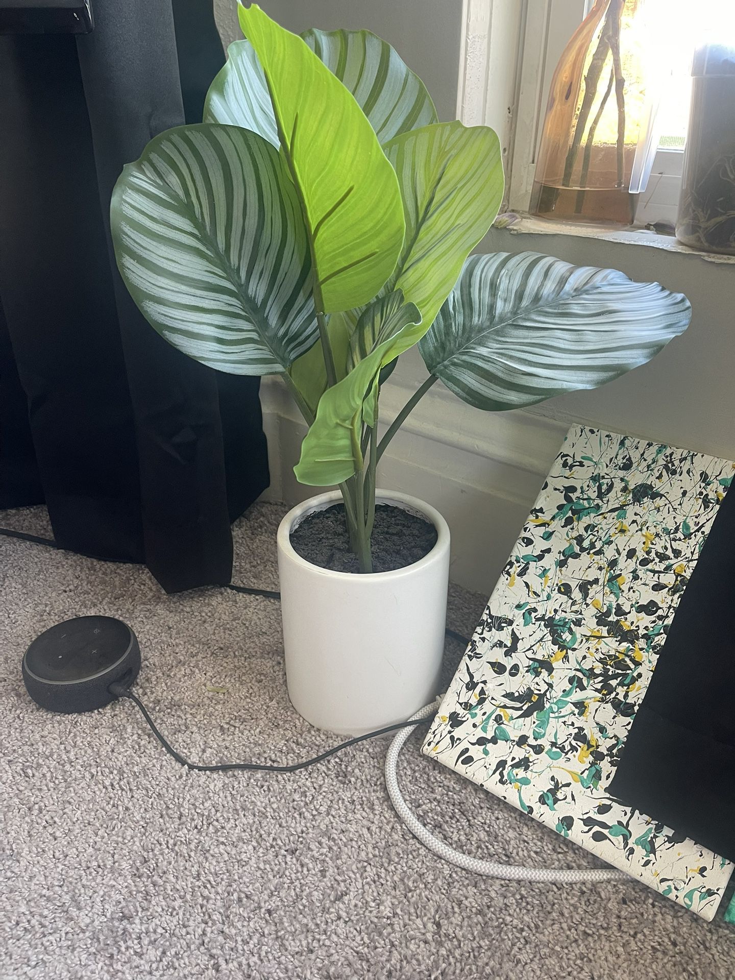 PLANT DECOR FOR $5!!! WAS $20!!