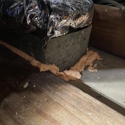 ATTIC INSULATION REMOVAL AND REPLACEMENT NEW MATERIALS!