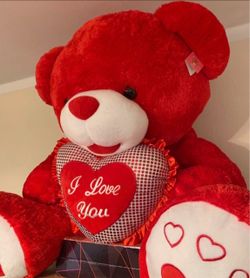 New Big Teddy Bear