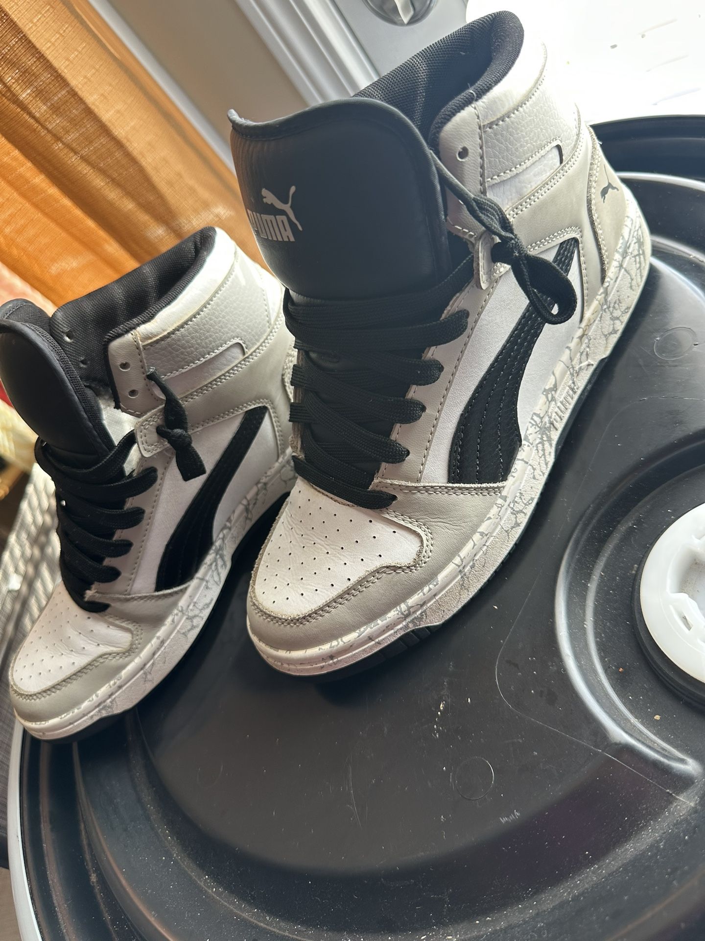 Puma Youth