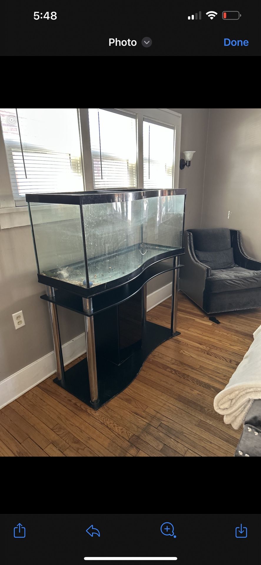 65 Gallon Aquarium 
