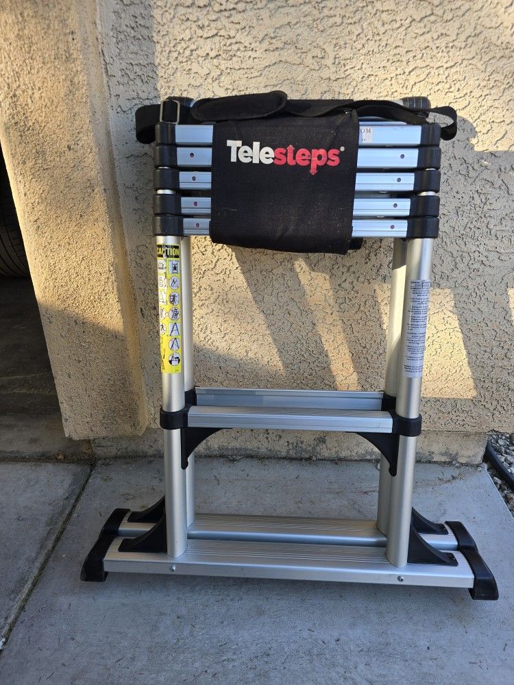 TeleSteps Combination Step Ladder