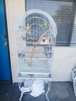 Bird Cage